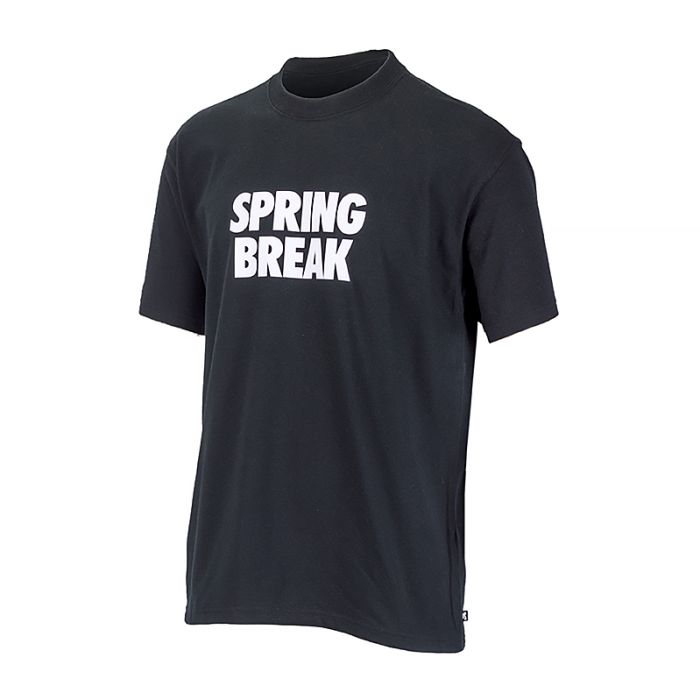 Футболка Nike M NK SB TEE SPRING BREAK