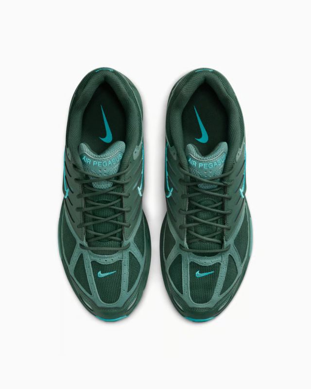 Кросівки Nike AIR PEGASUS 2005