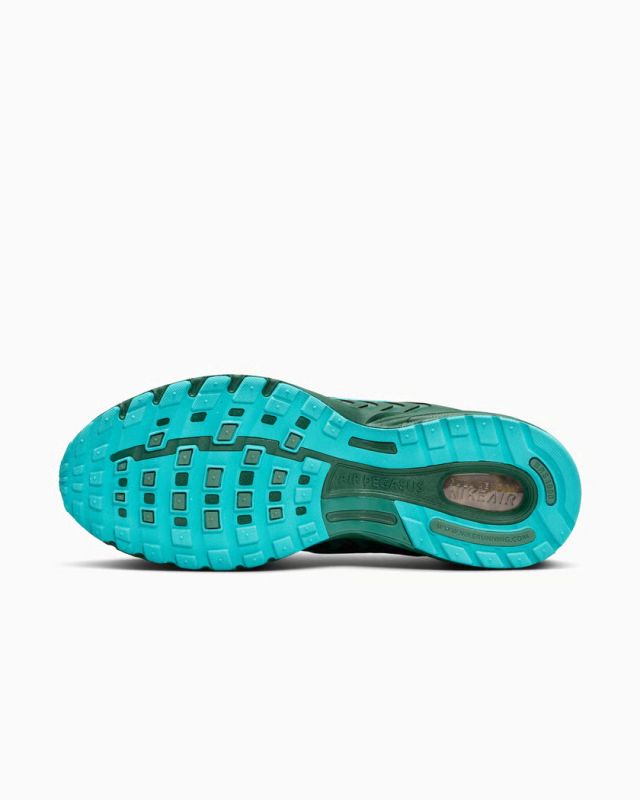 Кросівки Nike AIR PEGASUS 2005