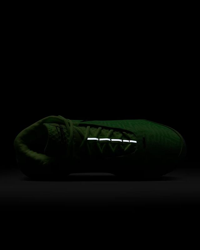 Кросівки Nike LBJ NXXT GENISUS