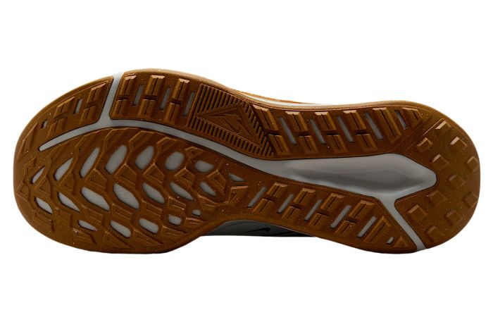 Кросівки Nike JUNIPER TRAIL 2 GTX V2