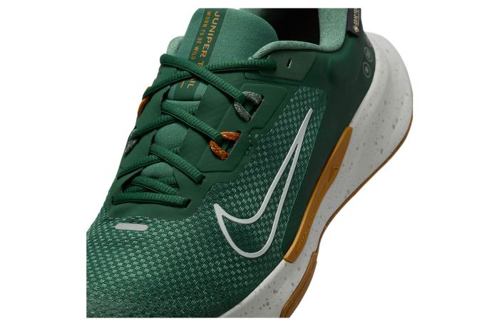 Кросівки Nike JUNIPER TRAIL 2 GTX V2