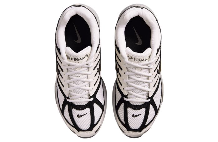 Кросівки Nike AIR PEGASUS 2005