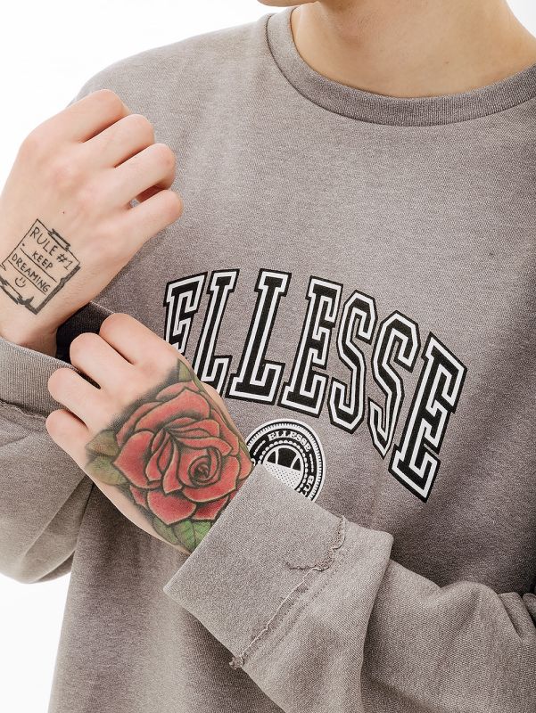 Толстовка Ellesse Vivar Sweatshirt